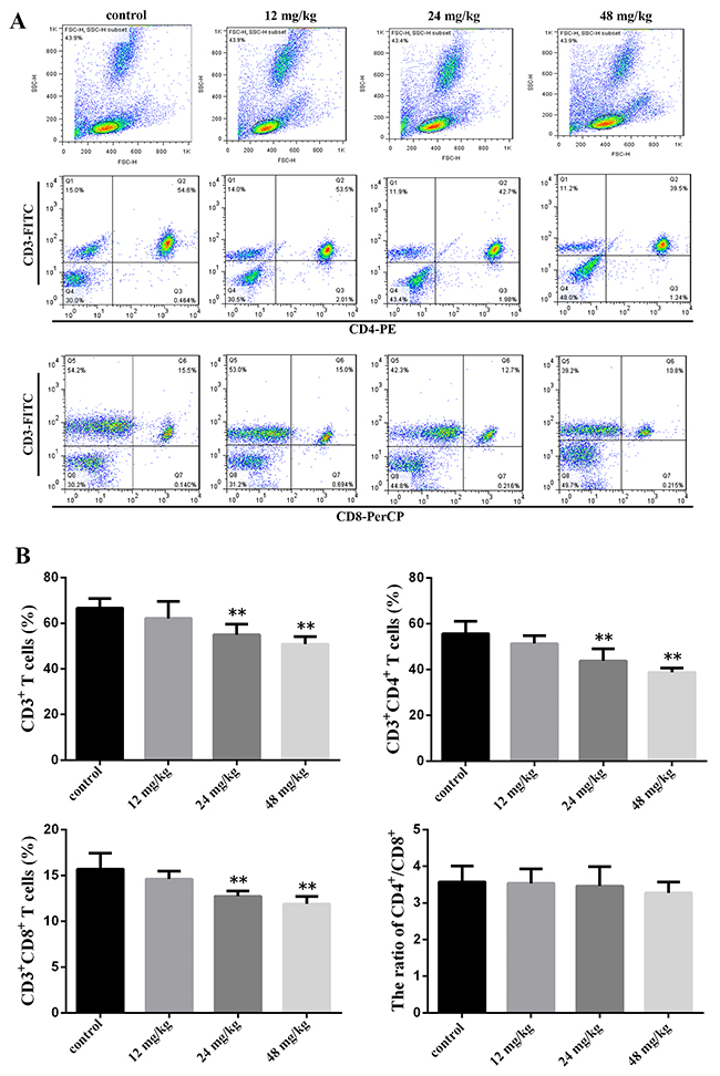 Changes of peripheral blood T-cell subsets and CD4+/CD8+ ratio at 21 days of age.