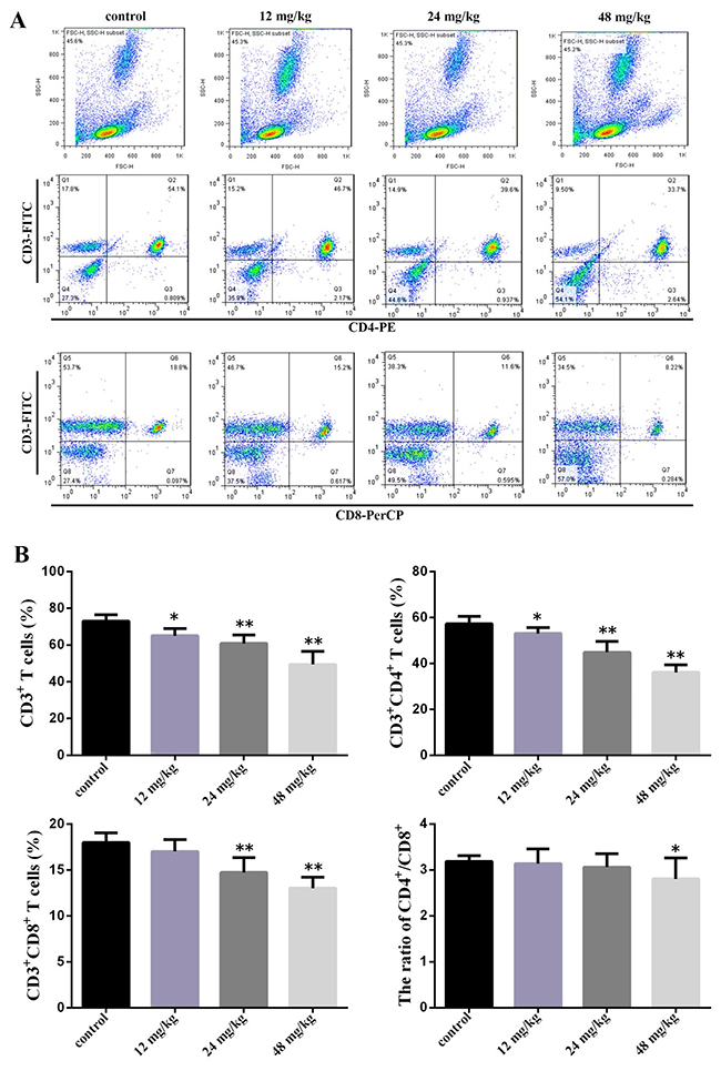 Changes of peripheral blood T-cell subsets and CD4+/CD8+ ratio at 42 days of age.