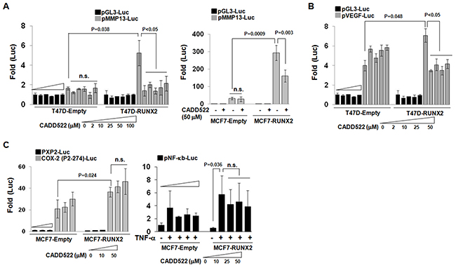 CADD522 decreases RUNX2 transcriptional activity.