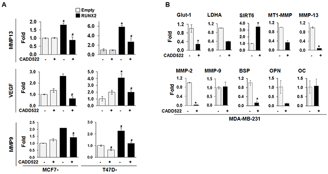 CADD522 inhibits transcription of RUNX2 responsive genes.