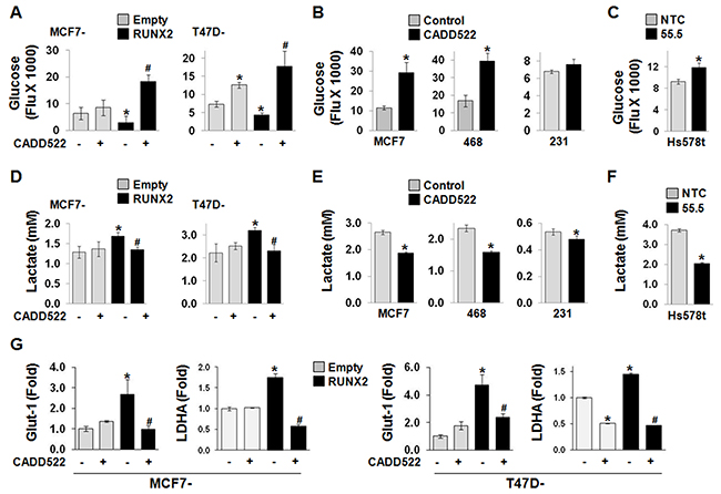 CADD522 alters glucose consumption and lactate production.