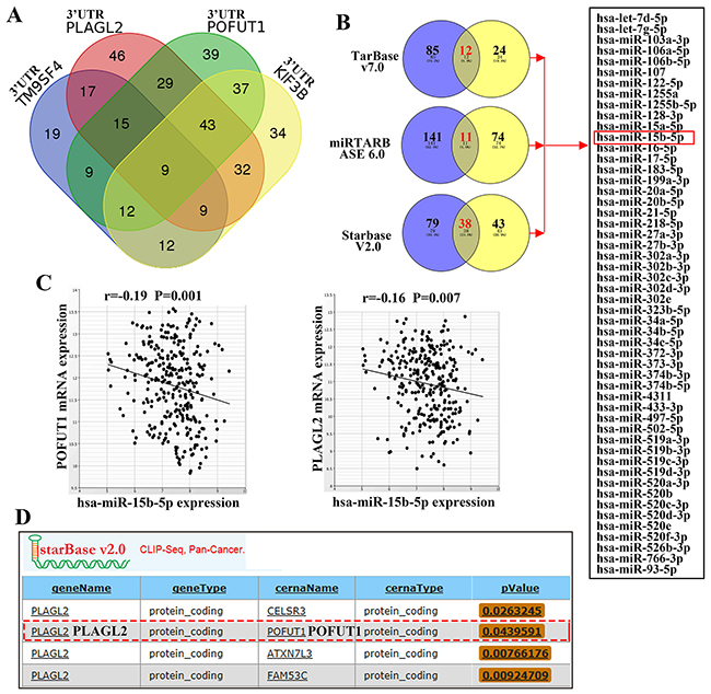 Adjacent genes with co-expression, especially adjacent gene pair, may be mediated by ceRNA.