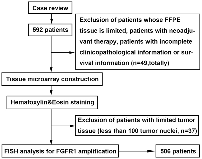 Patients and sample selection flow chart.