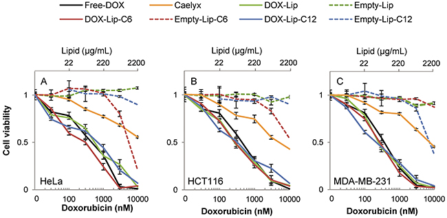 Dose-dependent effect of liposomal doxorubicin on cell viability.