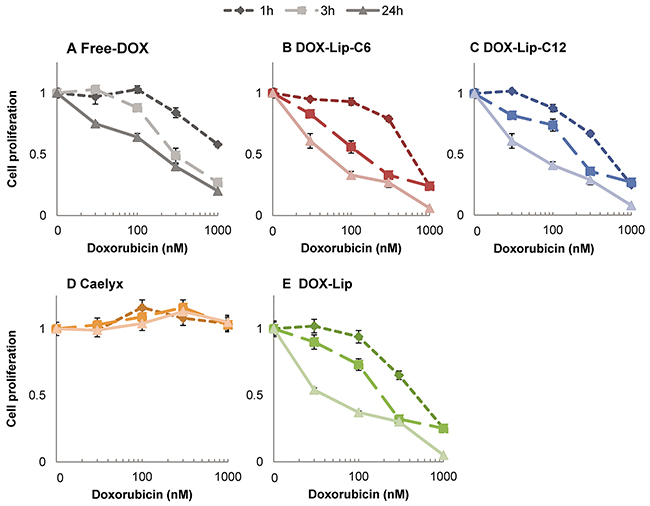 Influence of ceramide in liposomes on kinetics of DOX effect on cell proliferation.