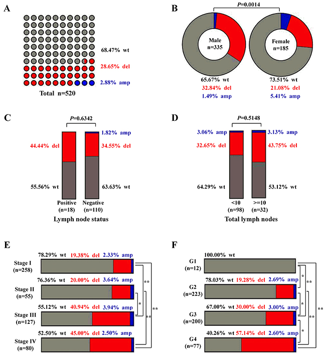 The CNV of MPDZ was frequently detected in ccRCC patients from the TCGA Cohort.