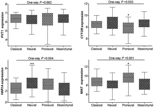 Box-plot of the PVT1, CYTOR, HAR1A and MIAT expressions in the classical, neural, proneural and mesenchymal subtypes of glioblastoma samples within TCGA.