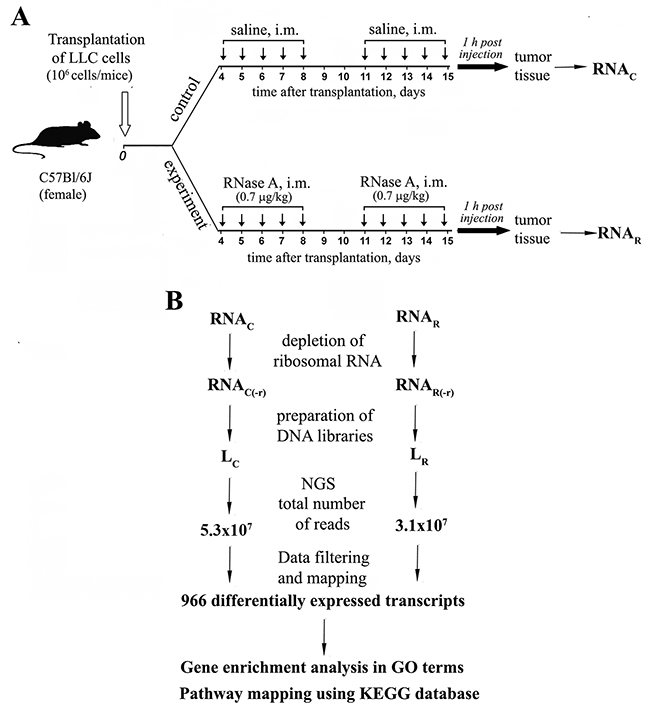 Experimental design and data mining.