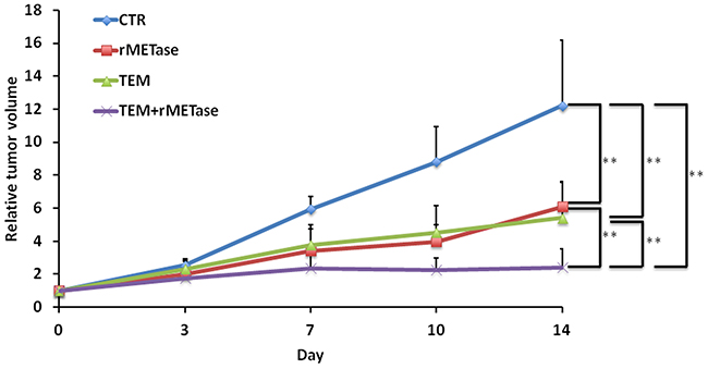 Time-coursed treatment efficacy of TEM, rMETase and their combination in the BRAF V600E mutant melanoma.