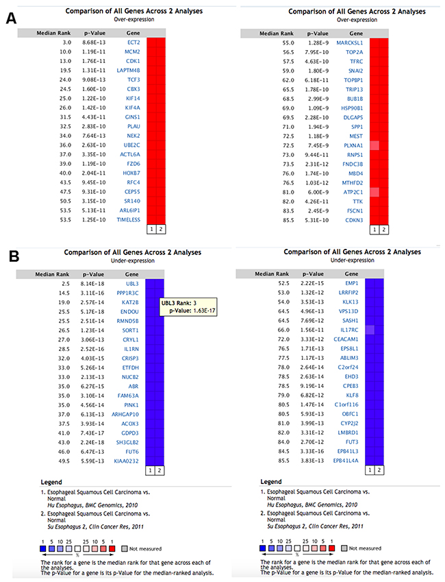 The top 80 genes that were significantly deregulated in ESCC across two independent microarrays retrieved from the Oncomine database.