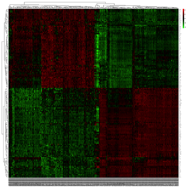 The heatmap revealed the overlapped differentially expressed genes between tumor and normal samples.