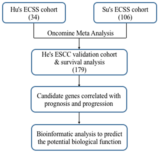 Flowchart for comprehensive analysis of the expression profiles and identification of the candidate genes correlated with progression and prognosis.