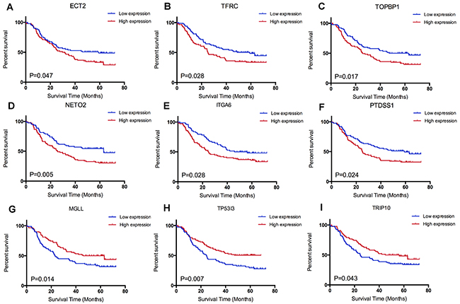 Survival analysis of candidate genes: (A) ECT2, (B) TFRC, (C) TOPBP1, (D) NEOT2, (F) PTDSS1, (E) ITGA6, (G) MGLL, (H) TP53I3 and (I) TRIP10.