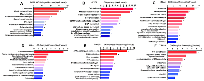 Enrichment analyses of candidate genes in Gene Ontology pathway.