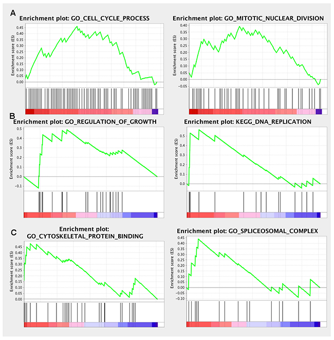 GSEA enrichment analysis of the co-expressed genes.