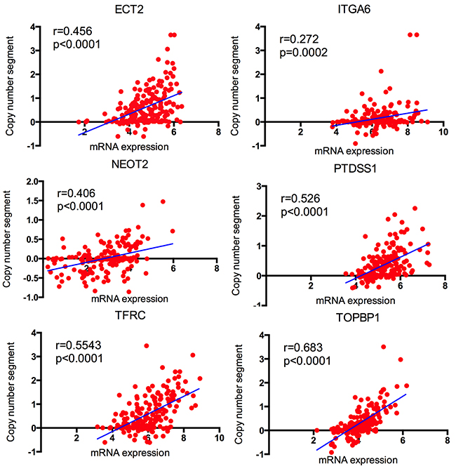 The correlation between copy number segment and the corresponding mRNA expression in TCGA.
