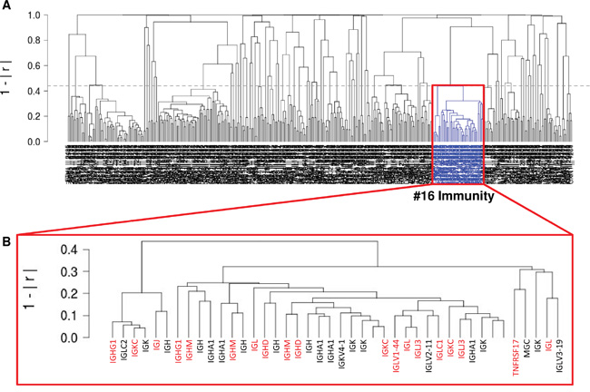 Unsupervised gene expression analysis of 2158 tumor samples containing 163 different tumor entities (GSE14520; NCBI-GEO).