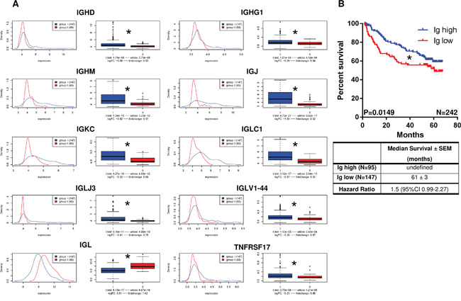 Overexpression of immunoglobulins in independent HCC cohort (GSE14520; N=242 HCC patients) is associated with prolonged patient survival.