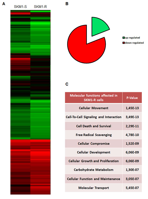 Pangenomic analysis of SKM1-S and SKM1-R cells Panel A: Hierarchical clustering of samples using the best genes discriminating the SKM1-S and SKM1-R cells.