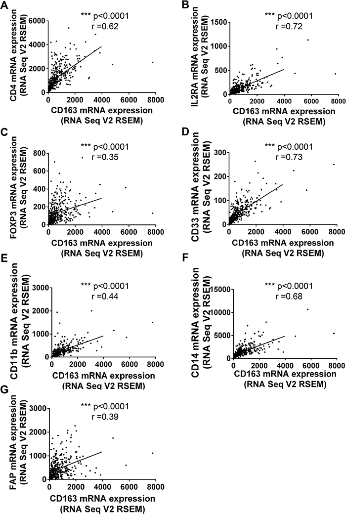 The correlationship between CD163 and markers of Tregs, MDSCs and CAFs.