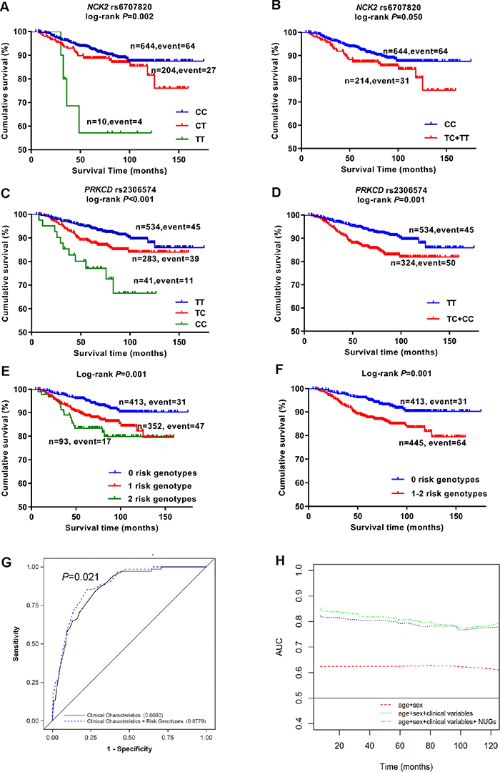 Kaplan-Meier survival curves, receiver operating characteristic (ROC) curves and time-dependent AUC for prediction of melanoma-specific survival.