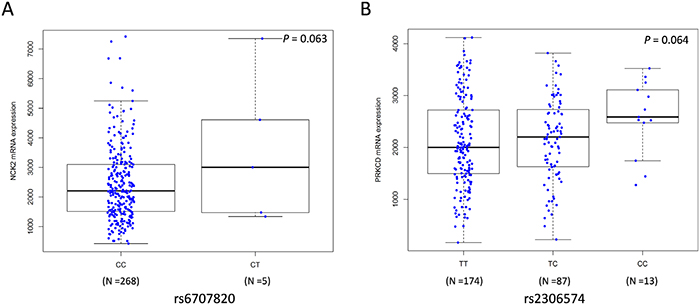 Correlations between SNPs and mRNA expression levels of NCK2 and PRKCD.
