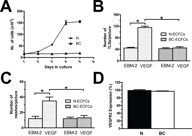 VEGF does not stimulate proliferation in breast cancer-derived endothelial colony forming cells.