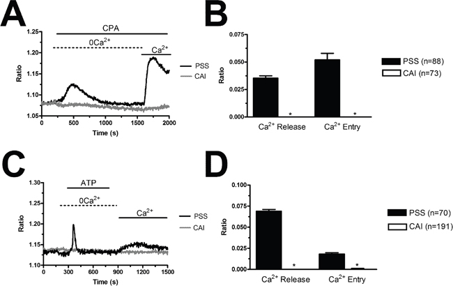 Carboxyamidotriazole suppresses intracellular Ca2+ signalling in endothelial progenitor cells.