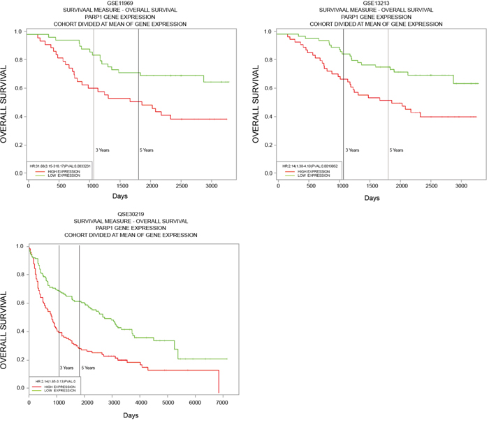 Survival relationship between PARP1 and patients of NSCLC.