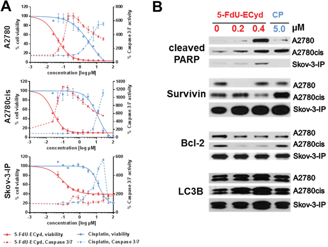The activity of 5-FdU-ECyd in platinum-sensitive and platinum-resistant ovarian cancer cells.