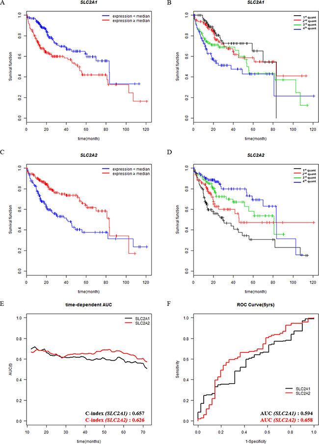 Survival analysis according to the expression levels of prognostic genes in patients with HCC.