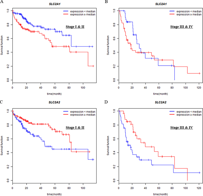 Associations of SLC2A1 or SLC2A2 expressions with overall survival in different tumor stages (I &#x0026; II vs III &#x0026; IV).