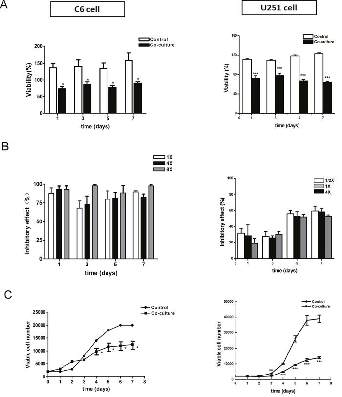 Survival and growth of tumor cells in the directly co-culture system.