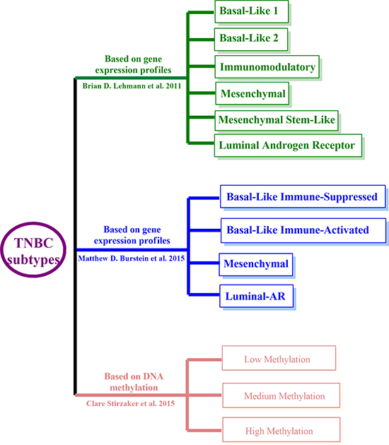 TNBC classifications.