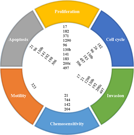 Proposed cellular processes affected by microRNAs based on reported functional studies.