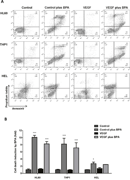 The effect of bromopyruvic acid (BPA) in cell viability in AML cells with and without VEGF stimulus.