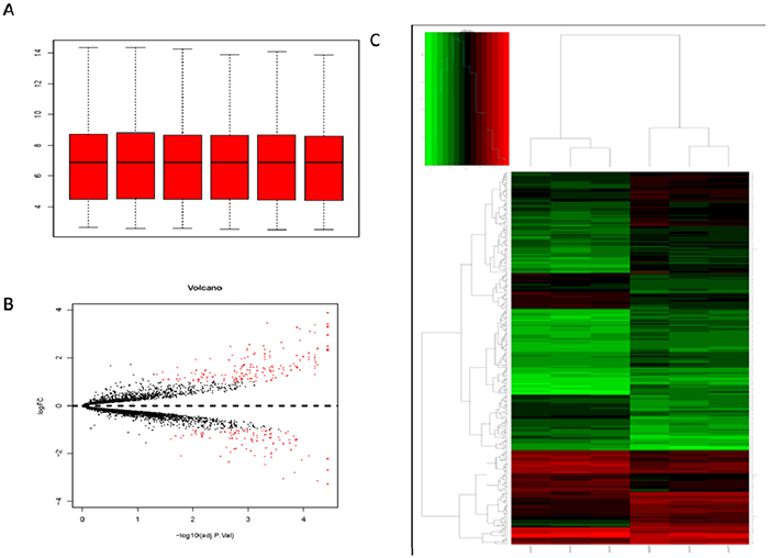 Analysis of DEGs by bioinformatics tools.