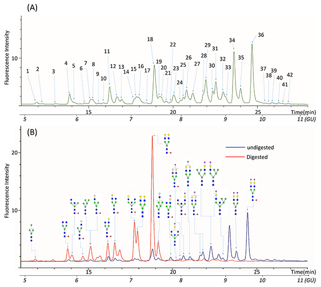 Representative UPLC chromatogram profiles of QC N-glycan samples.