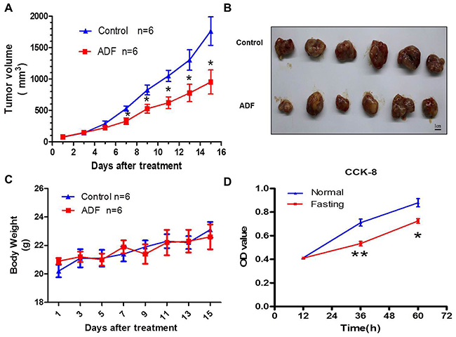 Fasting inhibits tumor growth both in vivo and in vitro.