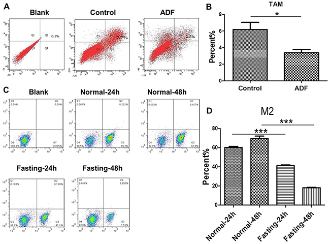 Fasting suppresses M2 polarization of TAMs both in vivo and in vitro.