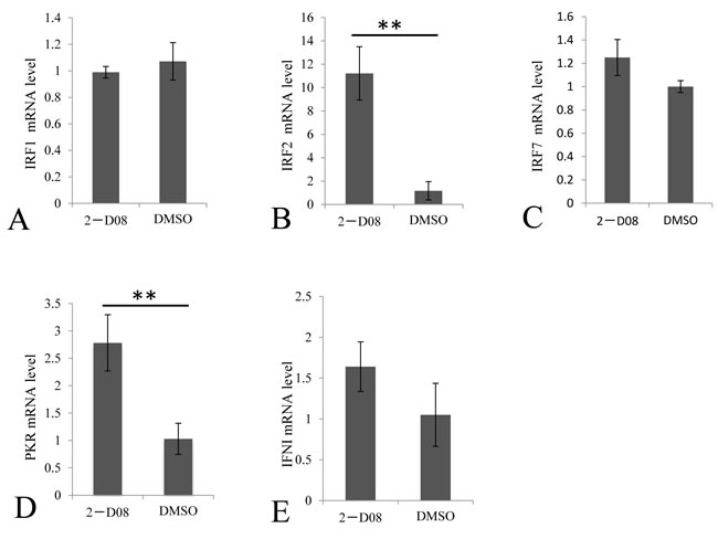 Regulation of selected immune genes by SUMOylation inhibitor in CIK cells.