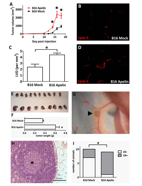 Figure 6: