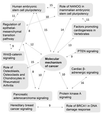 Complex interaction of multiple canonical pathways and their common genes.