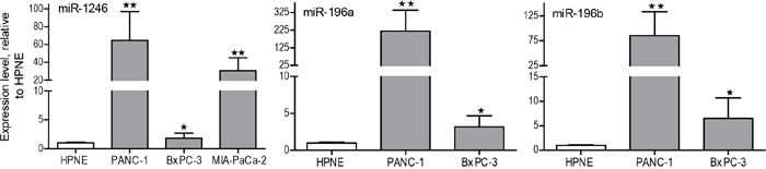 qRT-PCR analysis of miR-1246, miR-196a and miR-196b expression in PANC-1, MIA-PaCa-2, and BxPC-3 exosomes versus hTERT-HPNE exosomes.