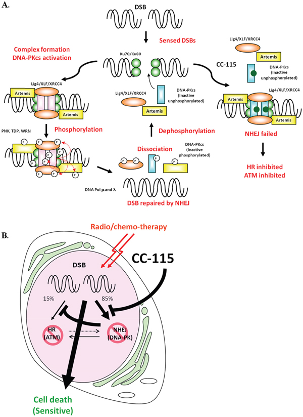 Figure 6: