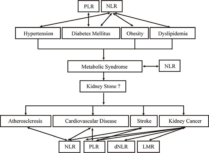 Etiological and complicated diseases of kidney stone and their association with NLR, dNLR, LMR and PLR.