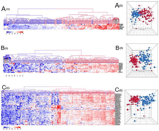 HCA and PCA of genes pertaining to glycolysis (A), TCA cycle and sirtuin pathways (B), and five mitochondrial respiratory chain complexes (C).