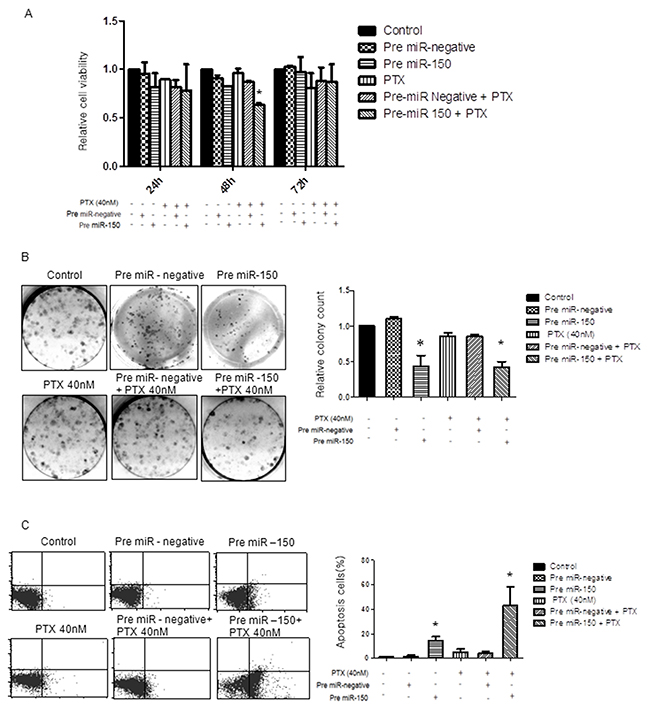 Effect of pre-miR-150 on cancer cell viability, cell proliferation and apoptosis in SKpac-13, 16,17 cells.