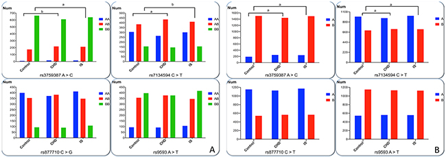 Genotypic and allelic frequencies of four SNPs in controls and patients.