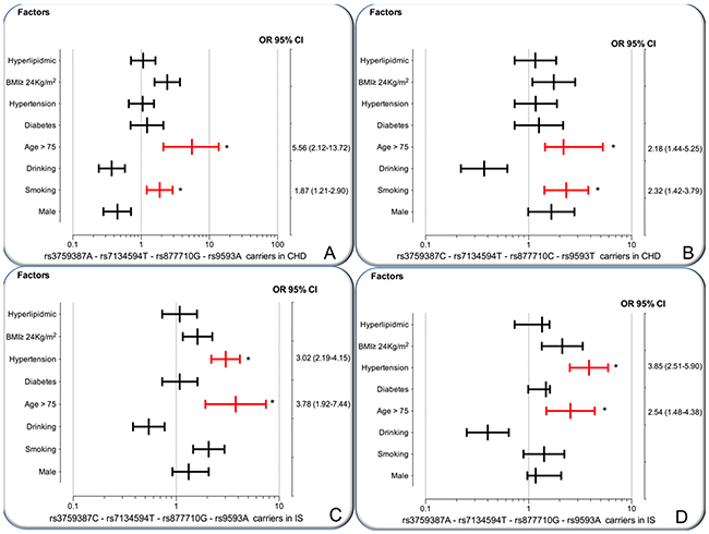 The interactions of the MVK-MMAB haplotype and the risk of CHD and IS.